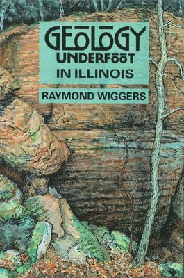 bokomslag Geology Underfoot in Illinois