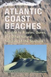 bokomslag Atlantic Coast Beaches: A Guide to Ripples, Dunes, and Other Natural Features of the Seashore