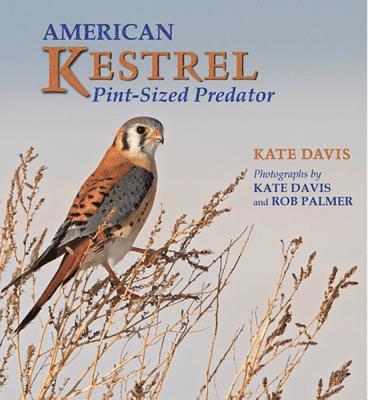 Kate Davis - American Kestrel: Pint-Sized Predator, Häftad