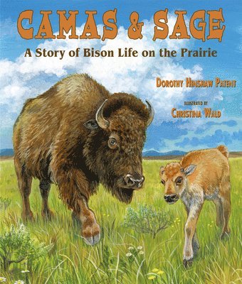 Dorothy Hinshaw Patent - Camas & Sage: A Story of Bison Life on the Prairie, Häftad