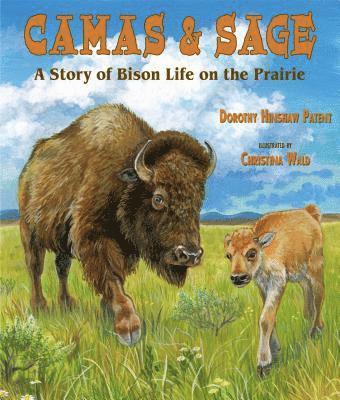 Dorothy Hinshaw Patent - Camas & Sage: A Story of Bison Life on the Prairie, Häftad