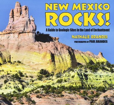 bokomslag New Mexico Rocks!: A Guide to Geologic Sites in the Land of Enchantment