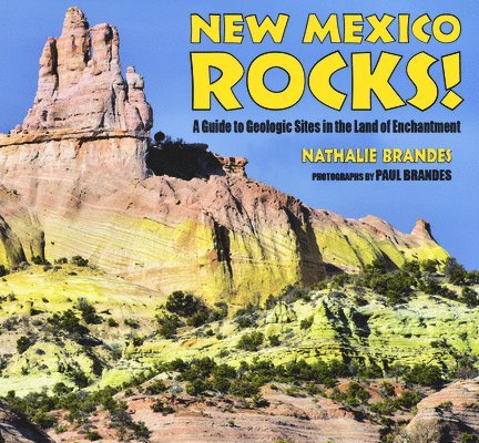 New Mexico Rocks!: A Guide to Geologic Sites in the Land of Enchantment 1