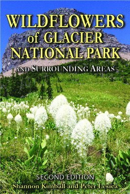 Wildflowers of Glacier National Park: And Surrounding Areas 1