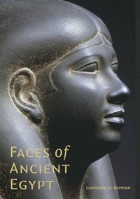 bokomslag Faces of Ancient Egypt
