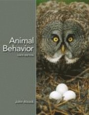 bokomslag Animal Behavior: an Evolutionary Approach