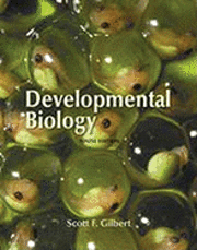 bokomslag Developmental Biology