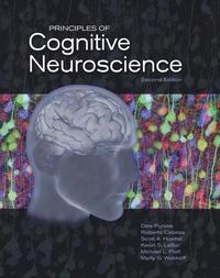 bokomslag Principles of Cognitive Neuroscience. Dale Purves ... [Et Al.]