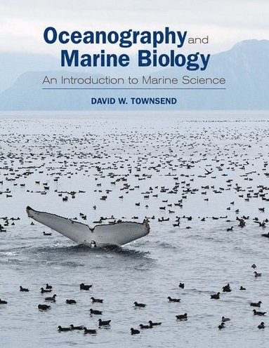 bokomslag Oceanography and Marine Biology