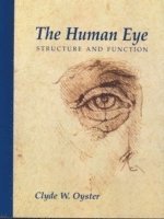 The Human Eye 1