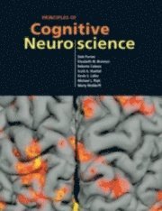 bokomslag Principles of cognitive neuroscience