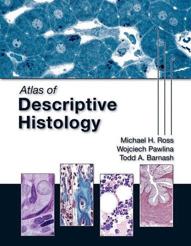 Michael H. Ross, Wojciech Pawlina, Todd A. Barnash - Atlas of Descriptive Histology, Häftad