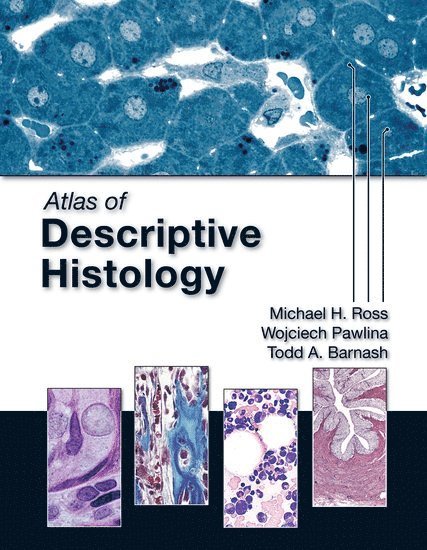 Michael H. Ross, Wojciech Pawlina, Todd A. Barnash - Atlas of Descriptive Histology, Häftad