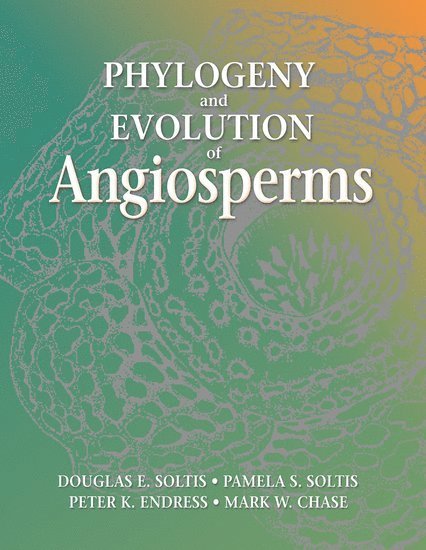 Phylogeny and Evolution of Angiosperms