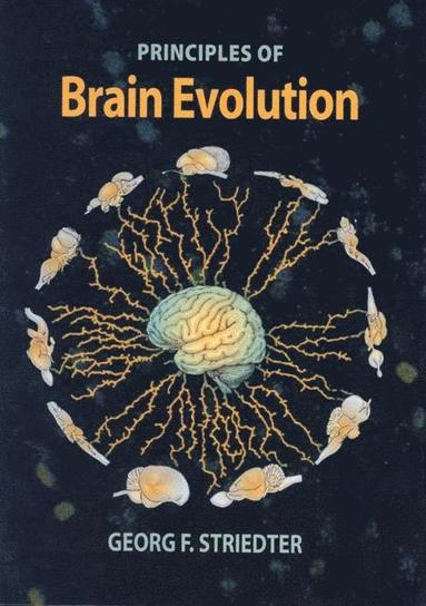 bokomslag Principles of Brain Evolution