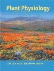 bokomslag Plant physiology