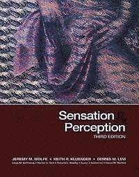 bokomslag Sensation and Perception