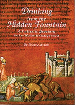 bokomslag Drinking from the Hidden Fountain