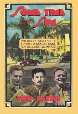 Tom Dardis - Some Time in the Sun, Häftad