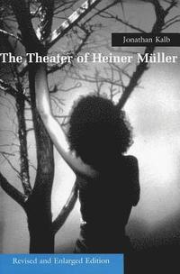 bokomslag Theater Of Heiner Muller