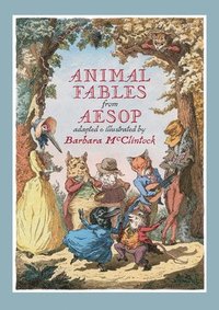 bokomslag Animal Fables from Aesop