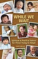 Heidi Schlumpf - While We Wait: Spiritual & Practical Advice for Those Trying to Adopt, Häftad