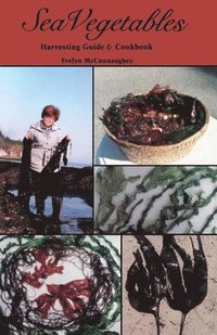 bokomslag Sea Vegetables, Harvesting Guide