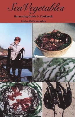 bokomslag Sea Vegetables, Harvesting Guide