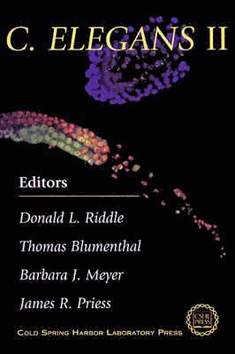 bokomslag C. Elegans II: (Cold Spring Harbor Monograph Series 33)