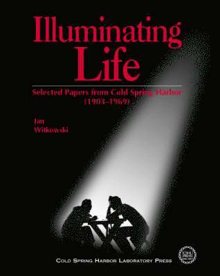 bokomslag Illuminating Life