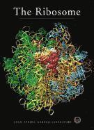 bokomslag The Ribosome