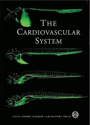 bokomslag The Cardiovascular System