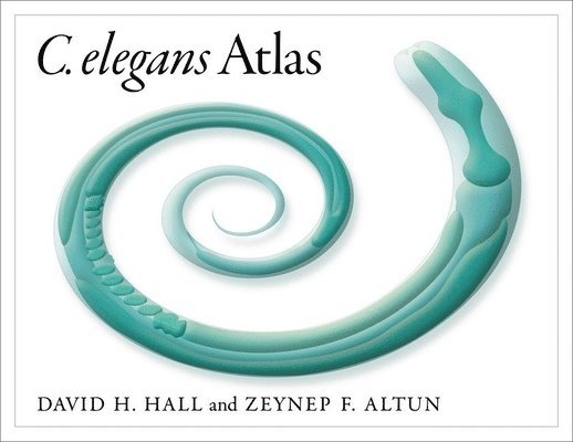 David Hall, Zeynep Altun, David H. Hall, Zeynep F. Altun, David H Hall, Zeynep F Altun - C. Elegans Atlas, Häftad