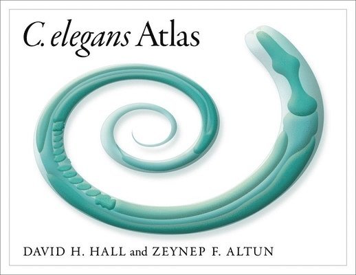 C. Elegans Atlas 1