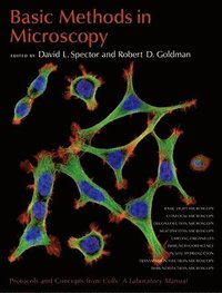 bokomslag Basic Methods in Microscopy : Protocols and Concepts from Cells: A Laboratory Manual