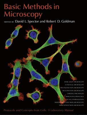 bokomslag Basic Methods in Microscopy : Protocols and Concepts from Cells: A Laboratory Manual