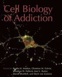 bokomslag Cell Biology of Addiction