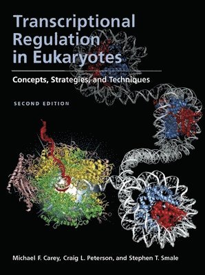 Michael F. Carey, Craig L. Peterson, Stephen T. Smale - Transcriptional Regulation in Eukaryotes, Häftad