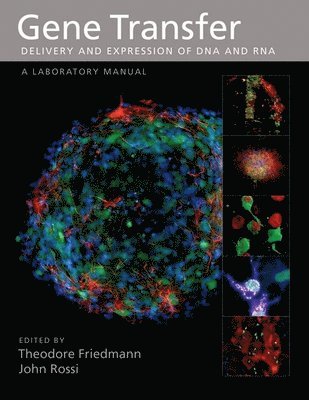 bokomslag Gene Transfer