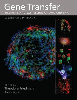 Theodore Friedmann, John Rossi, Professor at Center Friedmann, Theodore - Gene Transfer, Inbunden