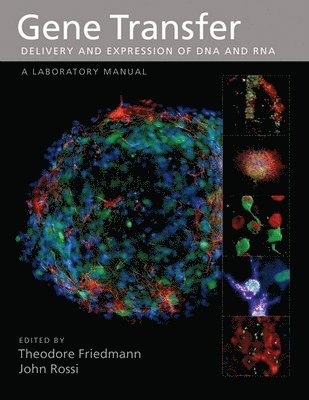 Theodore Friedmann, John Rossi - Gene Transfer, Häftad