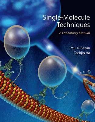 bokomslag Single Molecule Techniques