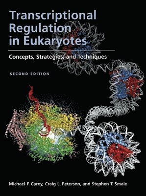 Michael F. Carey, Craig L. Peterson, Stephen T. Smale - Transcriptional Regulation in Eukaryotes, Inbunden