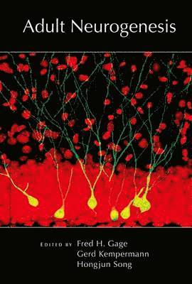 Adult Neurogenesis 1