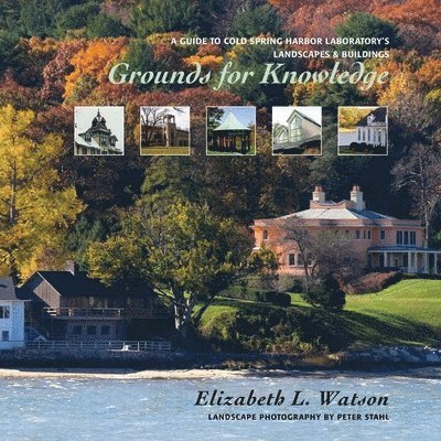Grounds for Knowledge