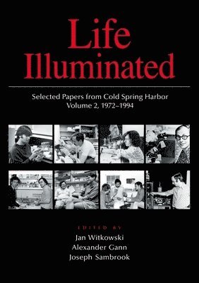 Life Illuminated: v. 2 1972-1994 1