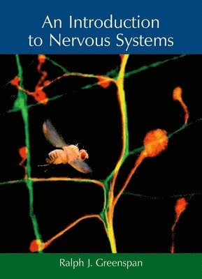 bokomslag An Introduction to Nervous Systems