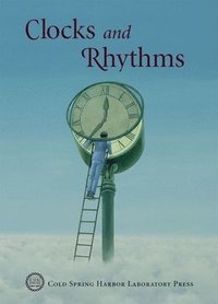 bokomslag Clocks and Rhythms