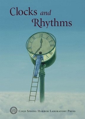 Bruce Stillman, David Stewart, Terri Grodzicker - Clocks and Rhythms, Häftad
