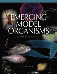 bokomslag Emerging Model Organisms